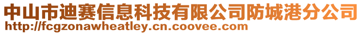 中山市迪賽信息科技有限公司防城港分公司