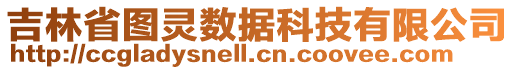 吉林省圖靈數(shù)據(jù)科技有限公司