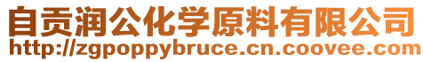 自貢潤公化學(xué)原料有限公司