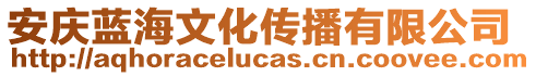 安慶藍(lán)海文化傳播有限公司