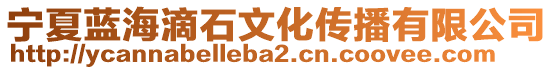 寧夏藍(lán)海滴石文化傳播有限公司