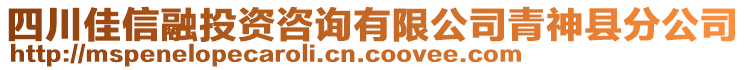 四川佳信融投資咨詢有限公司青神縣分公司