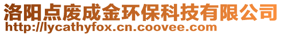 洛陽點廢成金環(huán)保科技有限公司