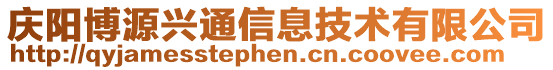 庆阳博源兴通信息技术有限公司