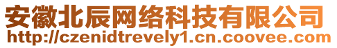 安徽北辰網(wǎng)絡(luò)科技有限公司