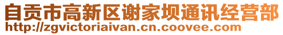 自貢市高新區(qū)謝家壩通訊經(jīng)營部