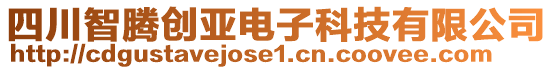 四川智騰創(chuàng)亞電子科技有限公司