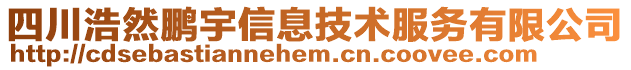 四川浩然鹏宇信息技术服务有限公司