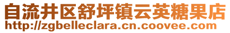 自流井区舒坪镇云英糖果店
