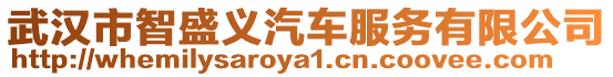 武漢市智盛義汽車服務有限公司