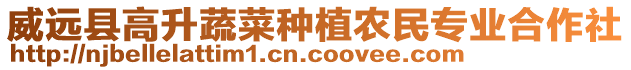 威遠(yuǎn)縣高升蔬菜種植農(nóng)民專業(yè)合作社