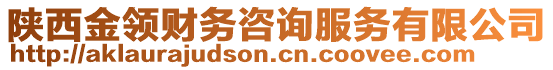 陜西金領(lǐng)財務(wù)咨詢服務(wù)有限公司