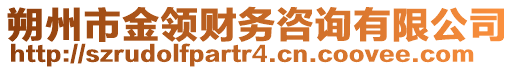 朔州市金领财务咨询有限公司