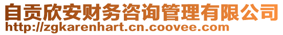 自貢欣安財務咨詢管理有限公司