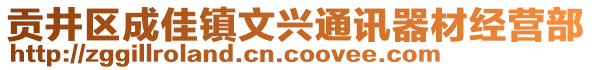 貢井區(qū)成佳鎮(zhèn)文興通訊器材經營部