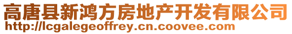 高唐縣新鴻方房地產(chǎn)開(kāi)發(fā)有限公司