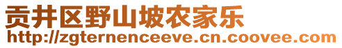 貢井區(qū)野山坡農(nóng)家樂