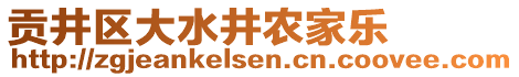 貢井區(qū)大水井農家樂