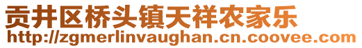 貢井區(qū)橋頭鎮(zhèn)天祥農(nóng)家樂(lè)