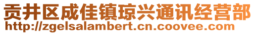 貢井區(qū)成佳鎮(zhèn)瓊興通訊經(jīng)營部