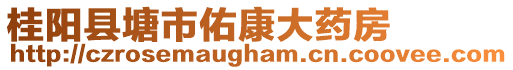 桂陽縣塘市佑康大藥房