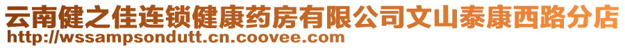 云南健之佳連鎖健康藥房有限公司文山泰康西路分店