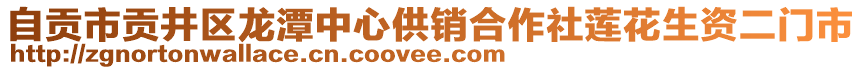 自貢市貢井區(qū)龍?zhí)吨行墓╀N合作社蓮花生資二門市