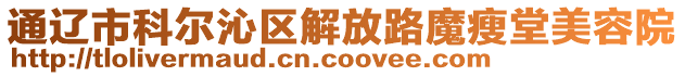 通遼市科爾沁區(qū)解放路魔瘦堂美容院