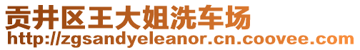 貢井區(qū)王大姐洗車場