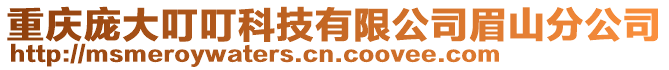 重慶龐大叮叮科技有限公司眉山分公司