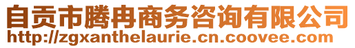 自貢市騰冉商務(wù)咨詢有限公司