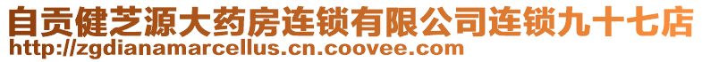 自貢健芝源大藥房連鎖有限公司連鎖九十七店