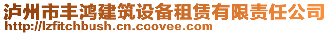 瀘州市豐鴻建筑設備租賃有限責任公司