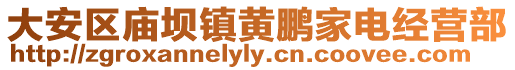 大安區廟壩鎮黃鵬家電經營部