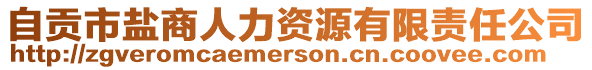 自貢市鹽商人力資源有限責任公司