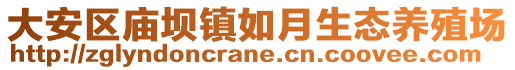 大安區(qū)廟壩鎮(zhèn)如月生態(tài)養(yǎng)殖場