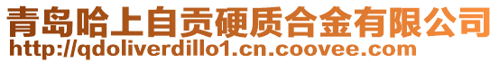 青島哈上自貢硬質合金有限公司