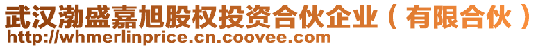 武漢渤盛嘉旭股權(quán)投資合伙企業(yè)（有限合伙）