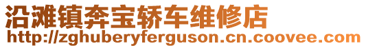 沿灘鎮(zhèn)奔寶轎車維修店
