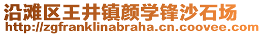 沿灘區(qū)王井鎮(zhèn)顏學(xué)鋒沙石場