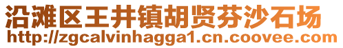 沿灘區(qū)王井鎮(zhèn)胡賢芬沙石場