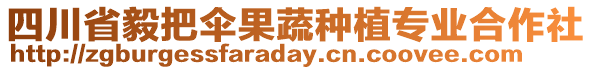 四川省毅把傘果蔬種植專業合作社