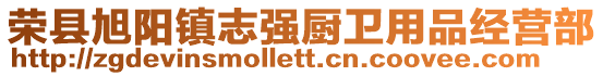 榮縣旭陽鎮(zhèn)志強廚衛(wèi)用品經(jīng)營部