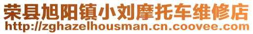 榮縣旭陽鎮(zhèn)小劉摩托車維修店