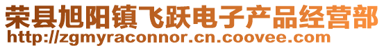 榮縣旭陽鎮(zhèn)飛躍電子產(chǎn)品經(jīng)營部