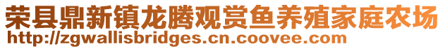 榮縣鼎新鎮(zhèn)龍騰觀賞魚養(yǎng)殖家庭農(nóng)場