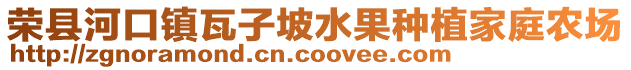 榮縣河口鎮瓦子坡水果種植家庭農場