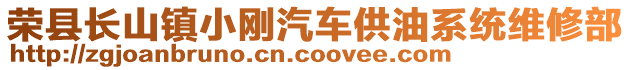 榮縣長(zhǎng)山鎮(zhèn)小剛汽車供油系統(tǒng)維修部