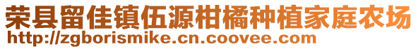 榮縣留佳鎮(zhèn)伍源柑橘種植家庭農(nóng)場(chǎng)