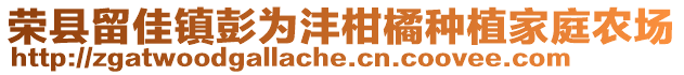 榮縣留佳鎮(zhèn)彭為灃柑橘種植家庭農(nóng)場